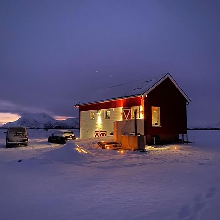 Unique Barnhouse In Amazing Gimsoy In Lofoten Saupstad  ภายนอก รูปภาพ